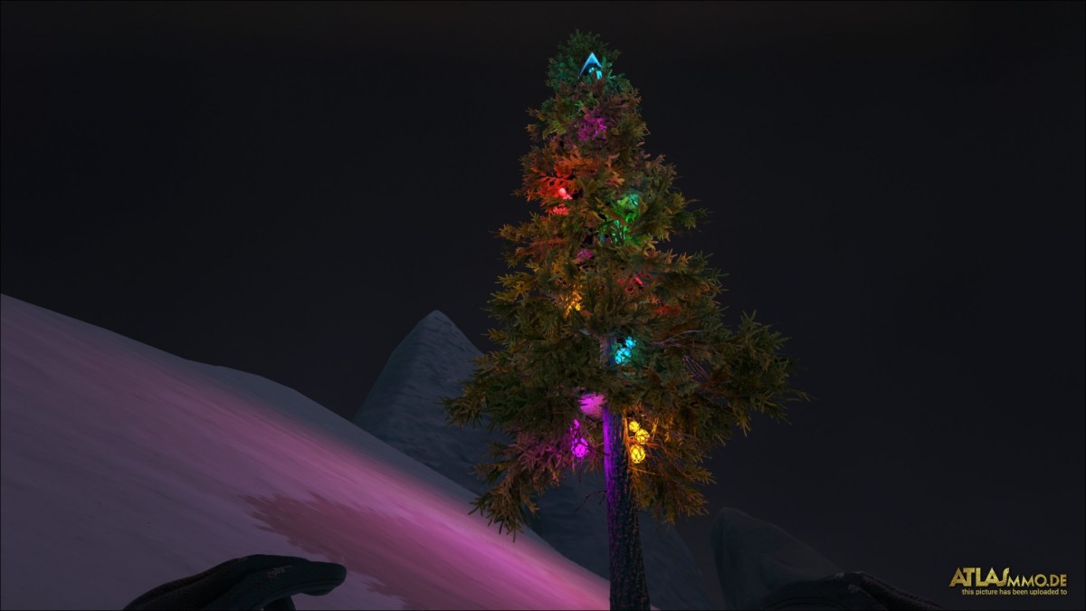 Unser Weihnachtsbaum :D
